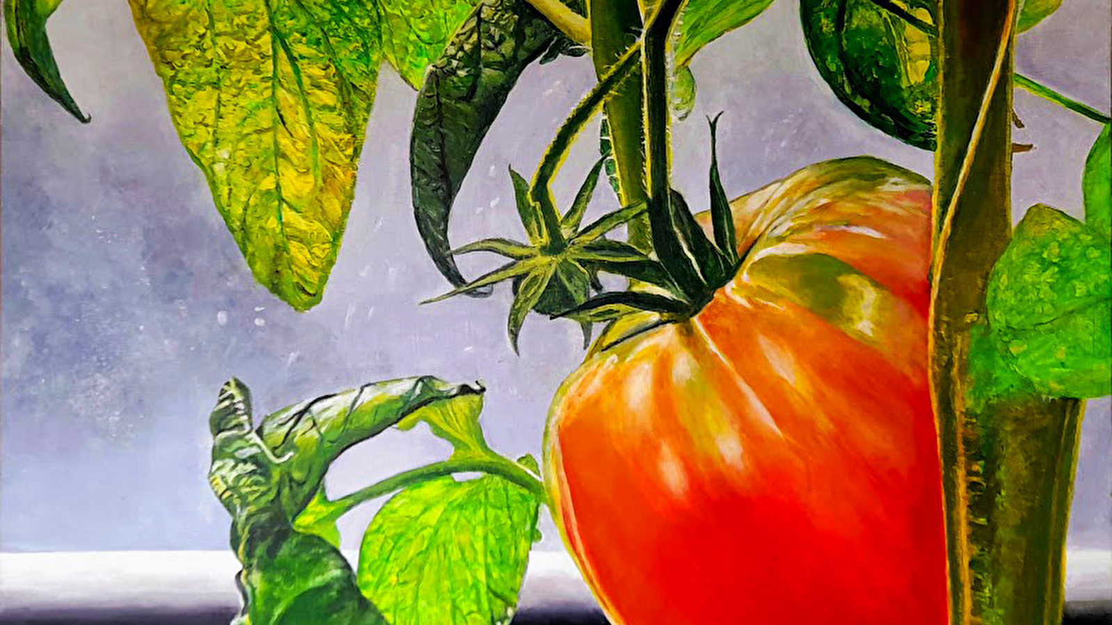 Exposition Nature vivante