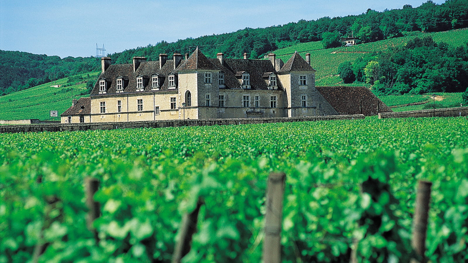 Livres en Vignes