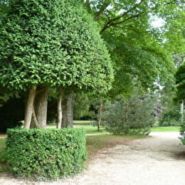 Arboretum de Venarey-Les Laumes - VENAREY-LES-LAUMES