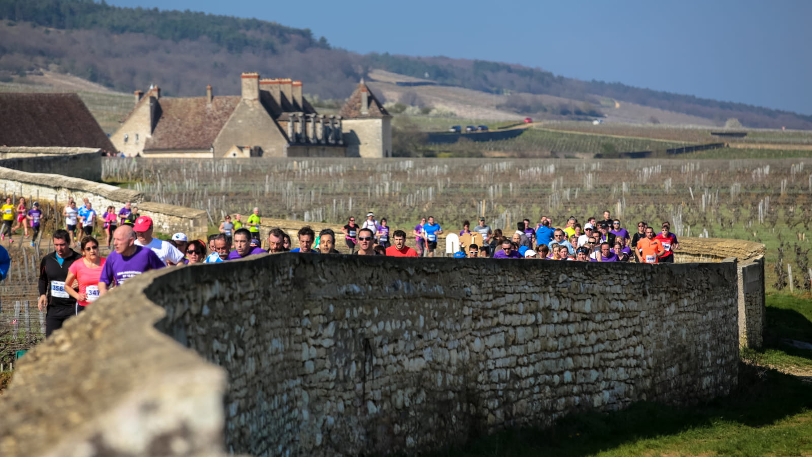 Vente des vins de Nuits-Saint-Georges