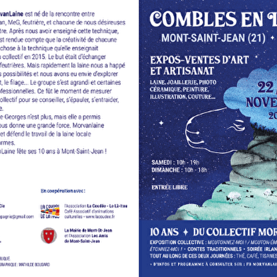 Combles en Laine- Mont st Jean