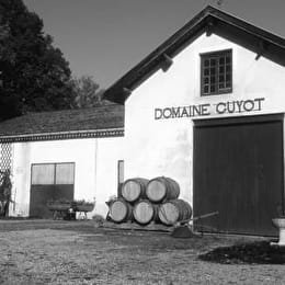 Guyot Baptiste - BEAUNE