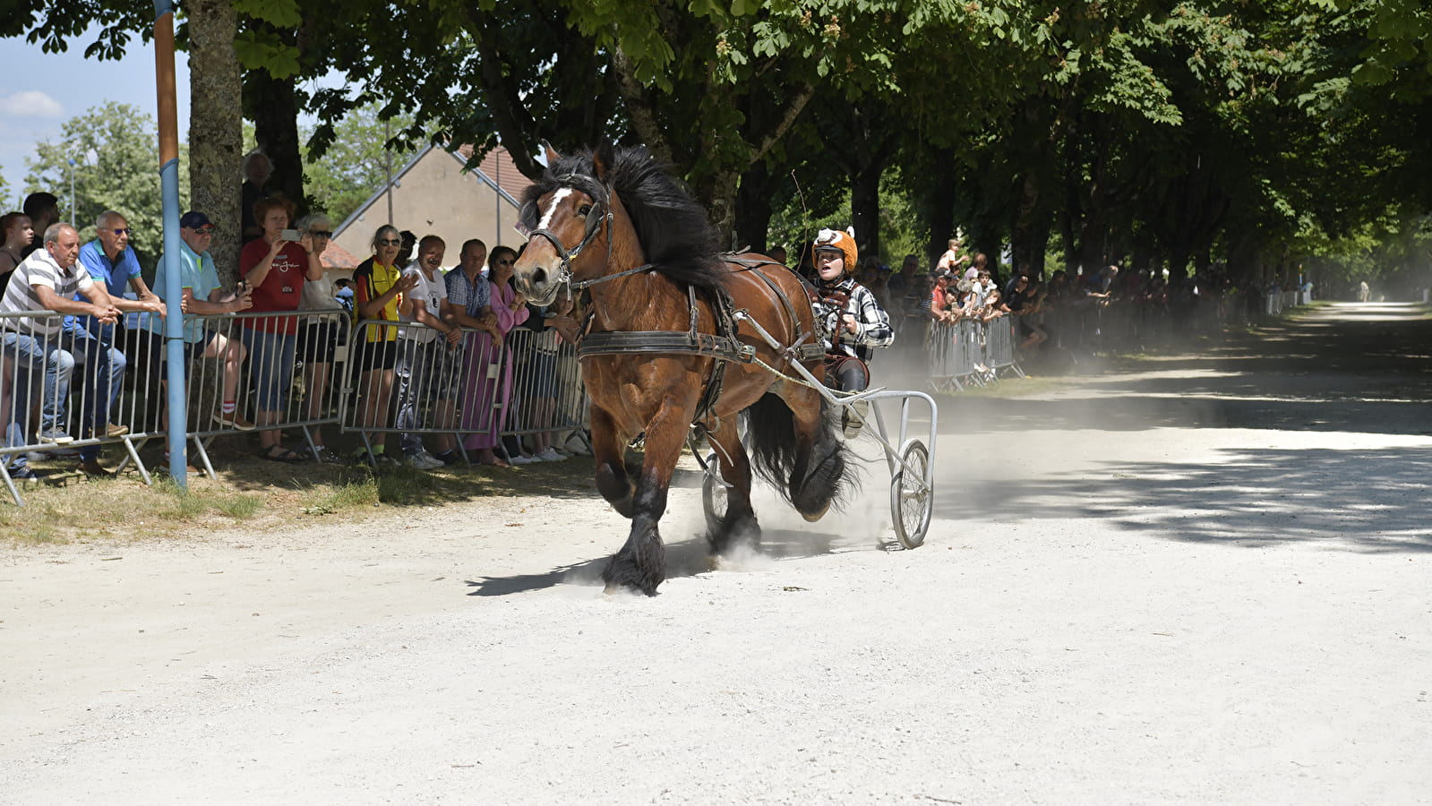 Course à la Timbale - Fêtes de la Bague