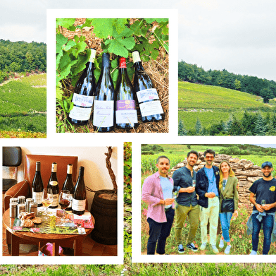 Clos de bourgogne, découverte des Secrets des vins de Bourgogne