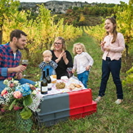 Dégustation, vente au Domaine Lucien et Fanny Rocault - SAINT-ROMAIN