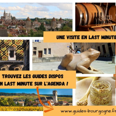 GUIDES INDEPENDANTS DE BOURGOGNE FRANCHE COMTE