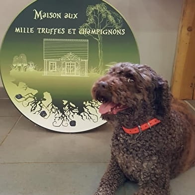 Maison aux 1000 truffes by l’Or des Valois