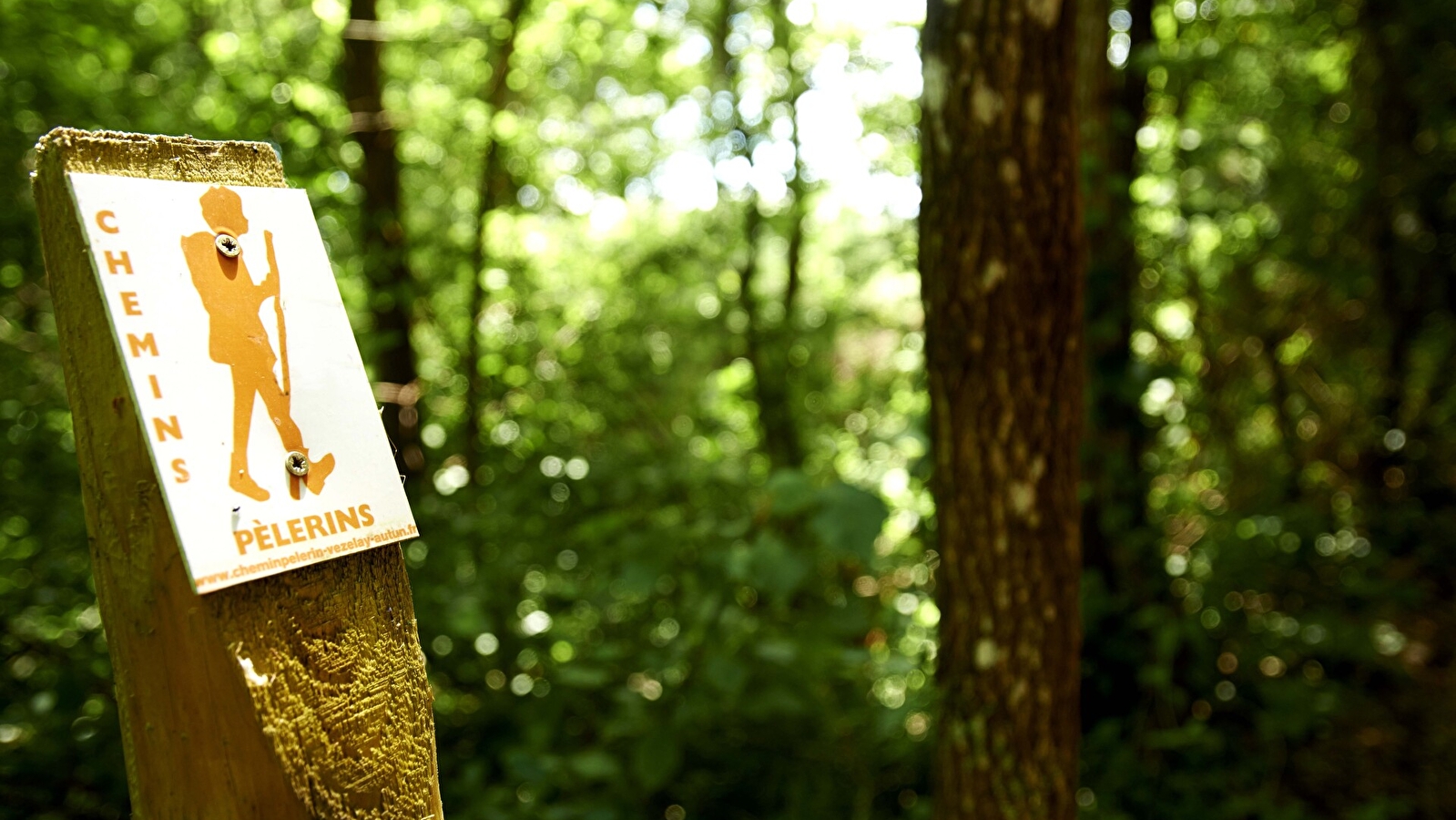 La boucle du Bois de Brenil