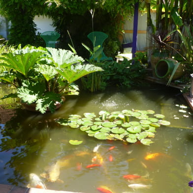 Le Jardin de Sambairelle