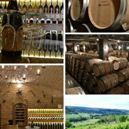 Gourmet tasting Tour - Bourgogne Vagabonde - URCY