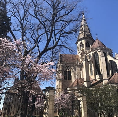 Visite guidée de Semur-en-Auxois de haut en bas !