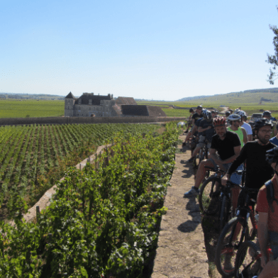 Velovitamine - Balade Oenologique à vélo 'Côte de Nuits 1er Cru' Dijon à Gevrey-Chambertin