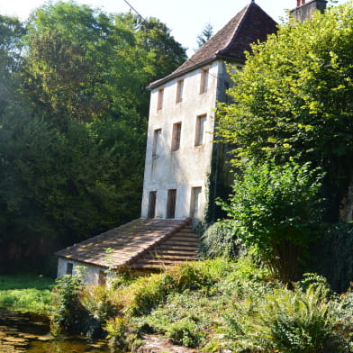 Fontaine du Roi