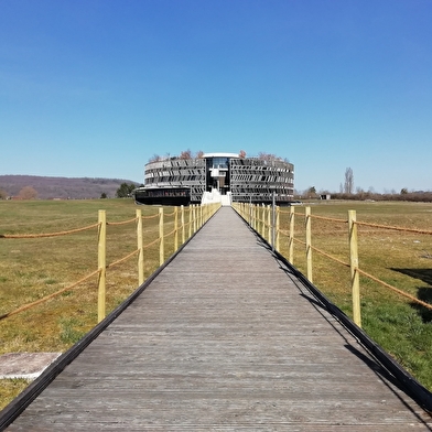 La Bourgogne-nord et ses Trésors