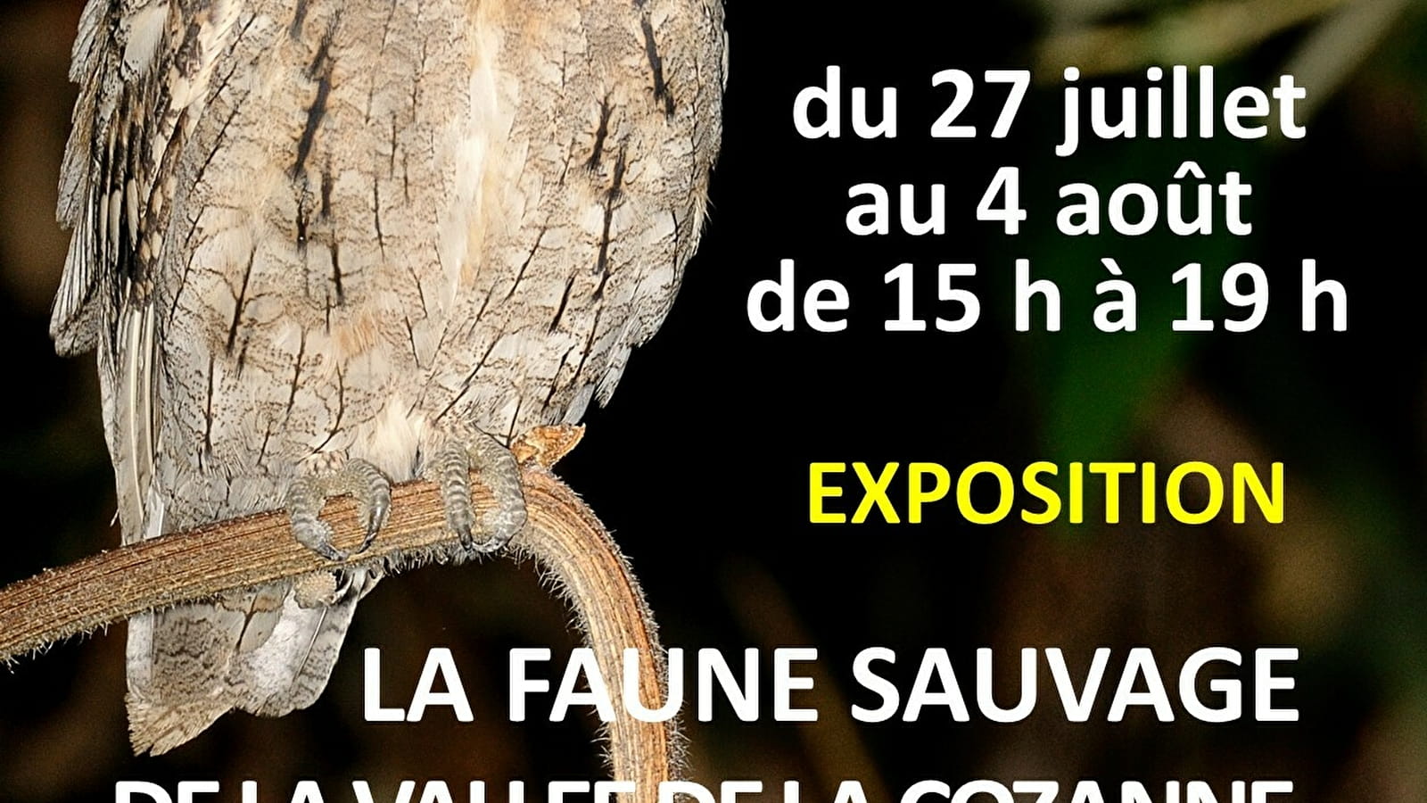EXPOSITION LA FAUNE SAUVAGE DE LA VALLEE DE LA COZANNE ET DES ENVIRONS