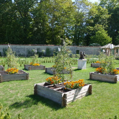 Les vergers-potagers du château de Montigny-sur-Aube