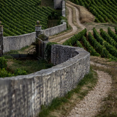 Chemins de Bourgogne