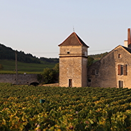 Clos du Moulin aux Moines - AUXEY-DURESSES