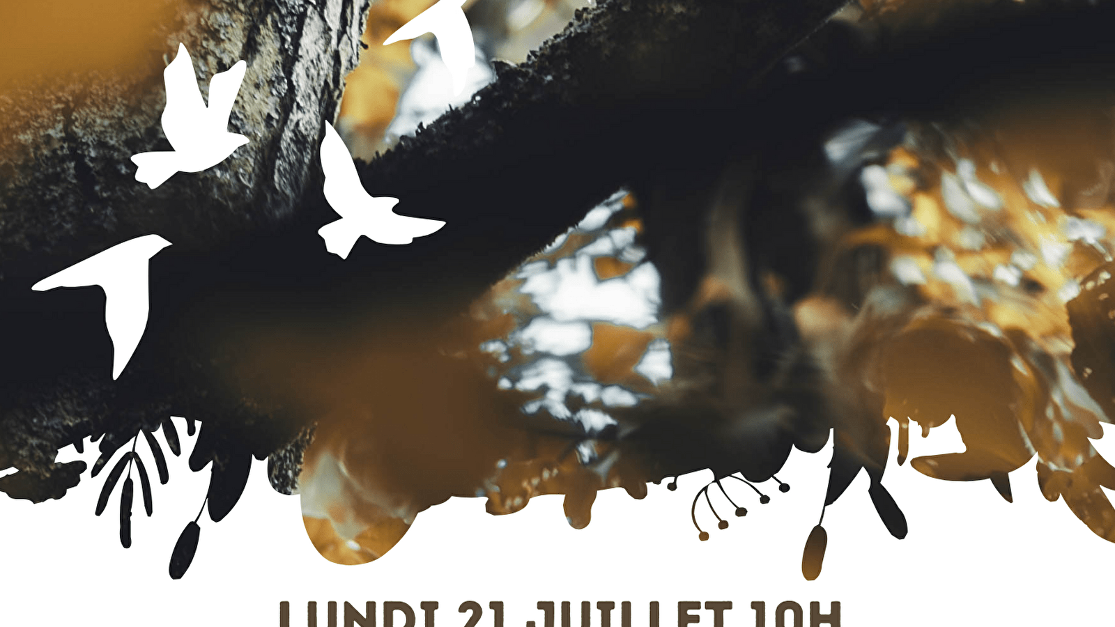 Sortie 'Nature en Ville'