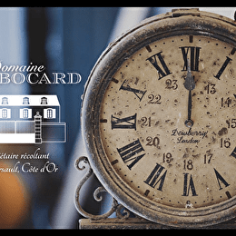 Bocard Guy - MEURSAULT