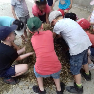 Ferme pédagogique du GAEC des 3 provinces