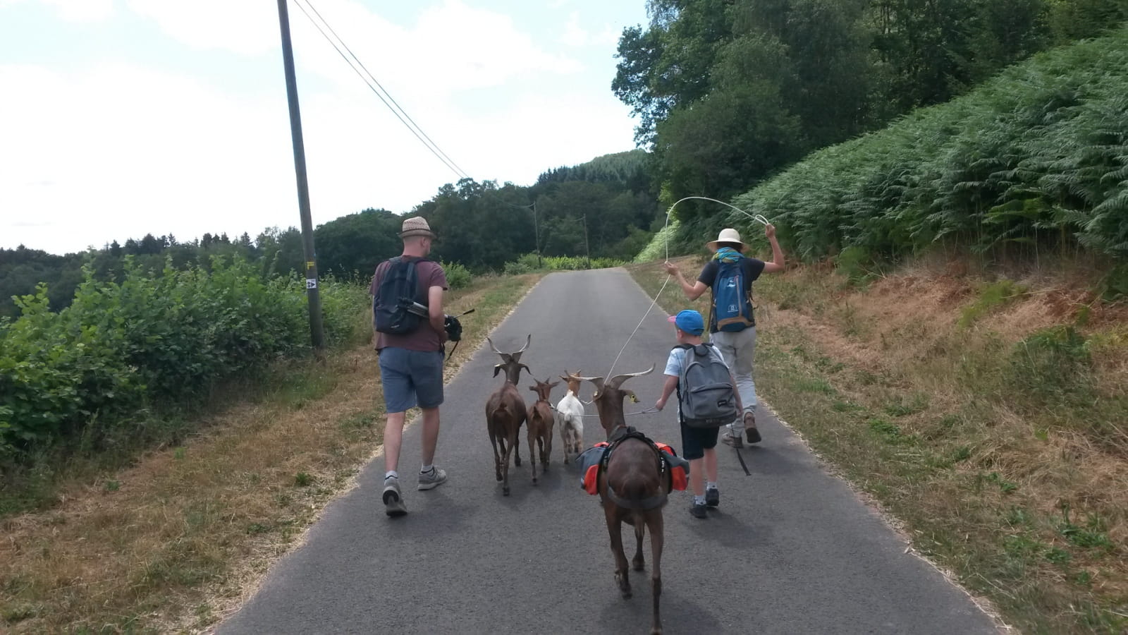 L'apprenti berger : balade avec les chèvres