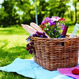 Fantastic Picnic à l'abbaye de Fontenay - MARMAGNE