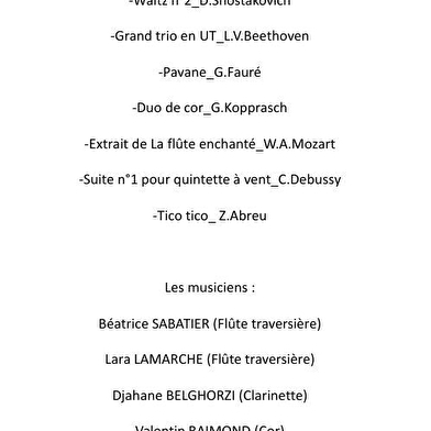 Concert de musique de chambre (quintette à vent)