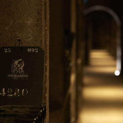 Visite révélations : initiation aux vins de Bourgogne et dégustation dans les caves Patriarche