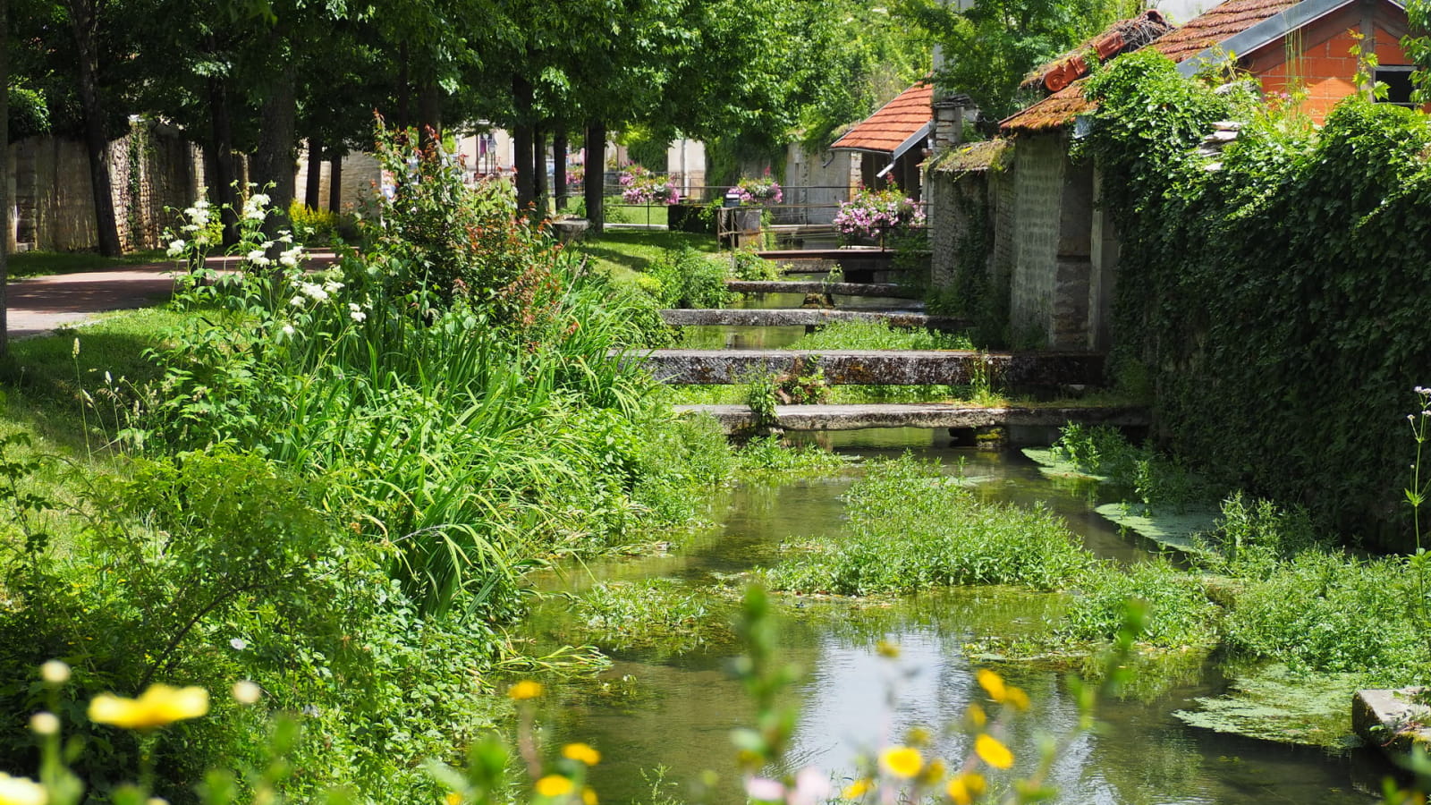 Visite commentée d'Is-sur-Tille - Accessible