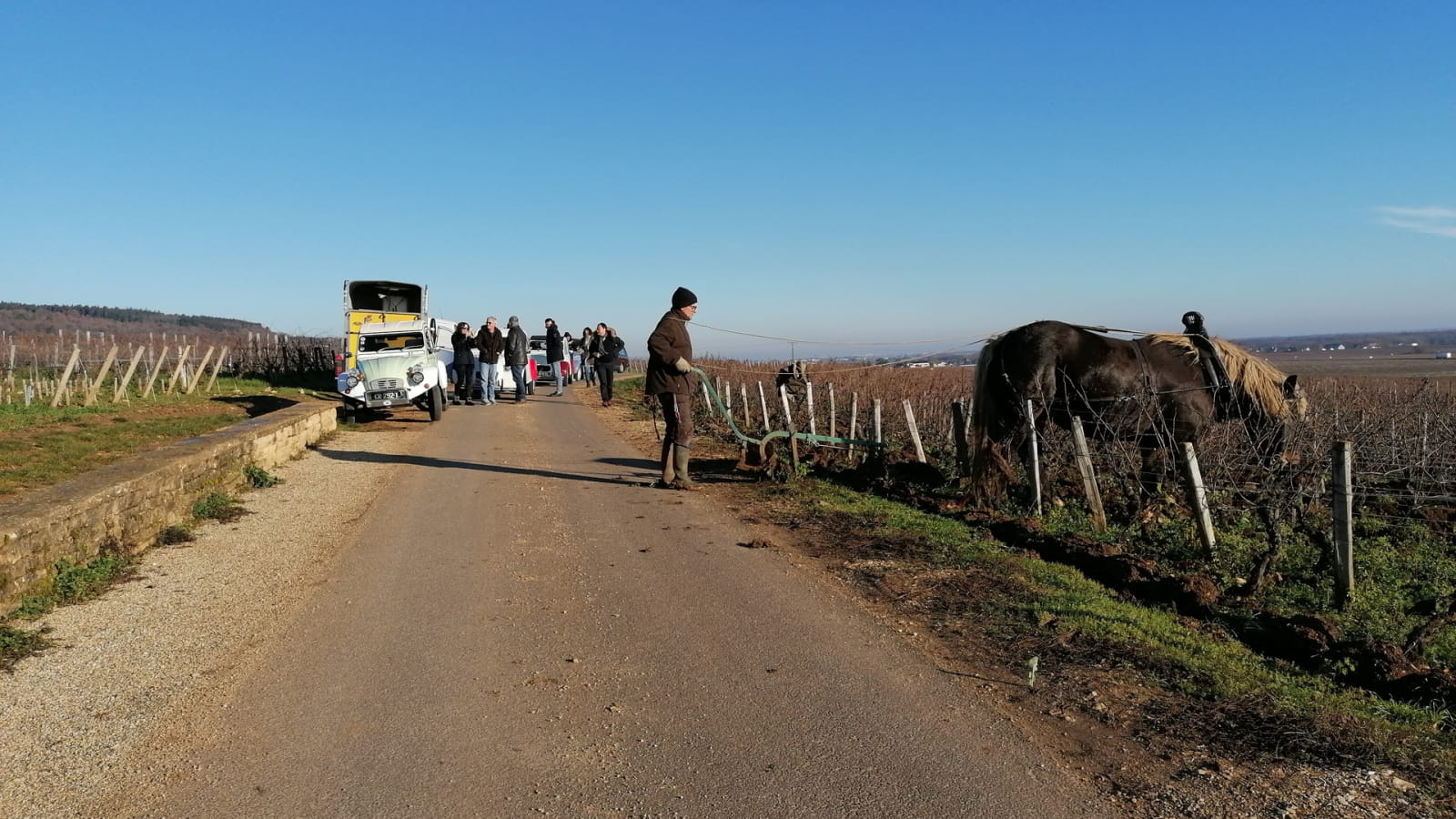 Immersion dans un domaine viticole de la Côte de Beaune