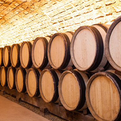 Instants millésimés