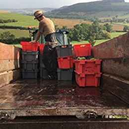 VELOVITAMINE - Découverte des vignobles de l'Auxois à vélo- Bourgogne - AVOSNES