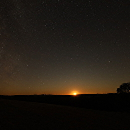 Au cœur de la nuit : la faune de Savilly - SAVILLY