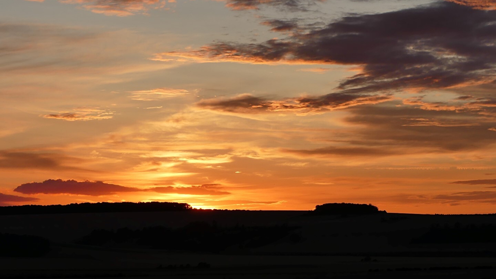 Balade nocturne _ENS2026 'sur réservation'
