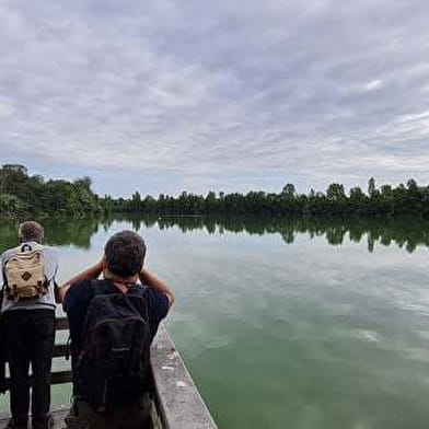 Visite et découverte des oiseaux de la réserve écologique des Maillys