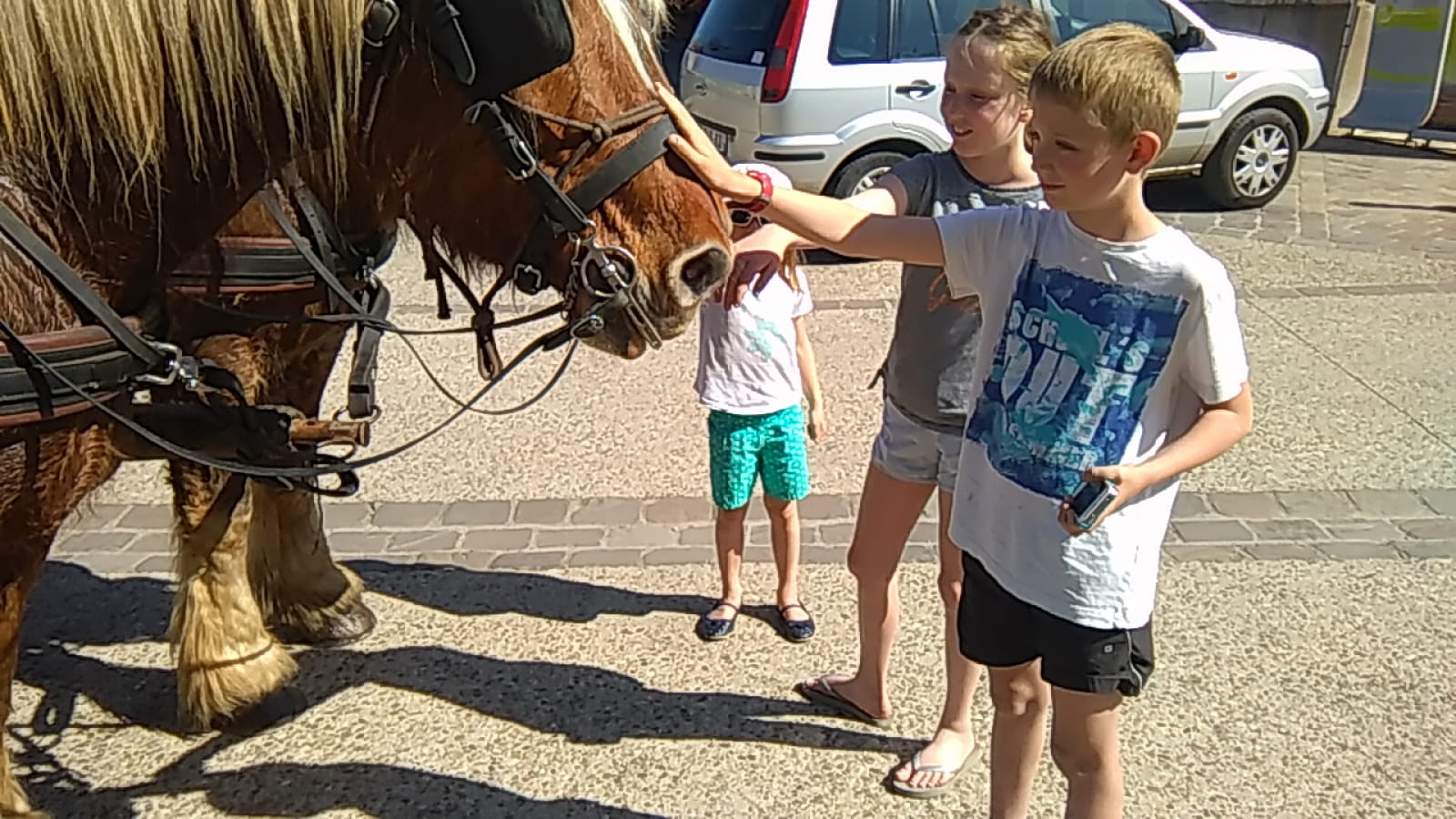Attelage Beaune Passion