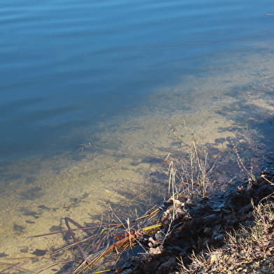 Lac de Marcenay