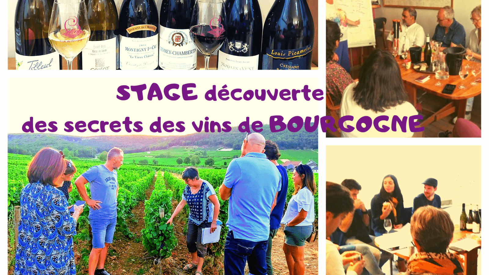 Stage découverte des vins de Bourgogne : initiation à la dégustation et à l'oenologie