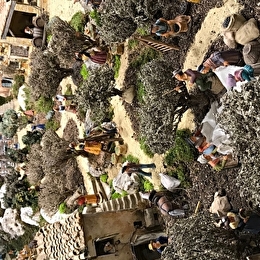 Noël à l'abbaye de Fontenay - crèche et marché de Noël - MARMAGNE