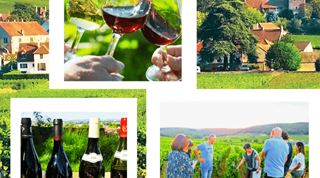 Atelier Découverte des " secrets des vins de Bourgogne" Du 29 mars au 17 nov 2024