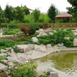 Jardin japonais - DIJON