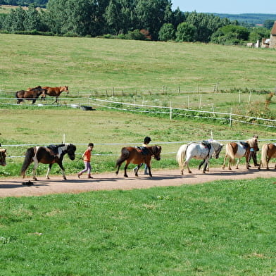 Ecole d'équitation La Bergerie