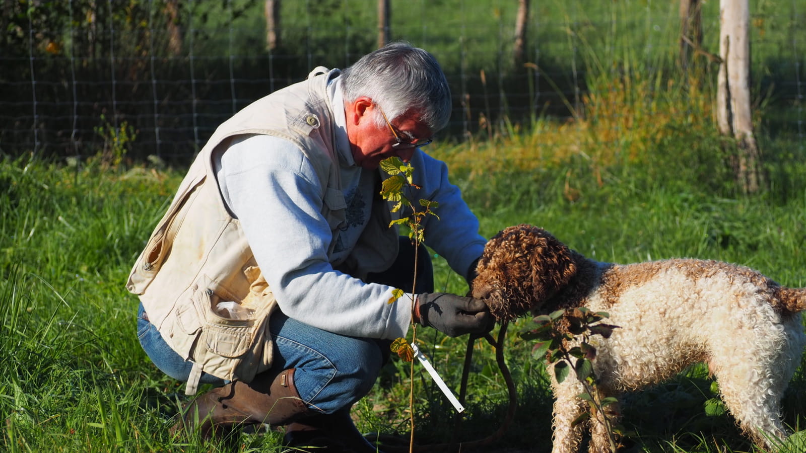 Demi-journées découverte de la truffe