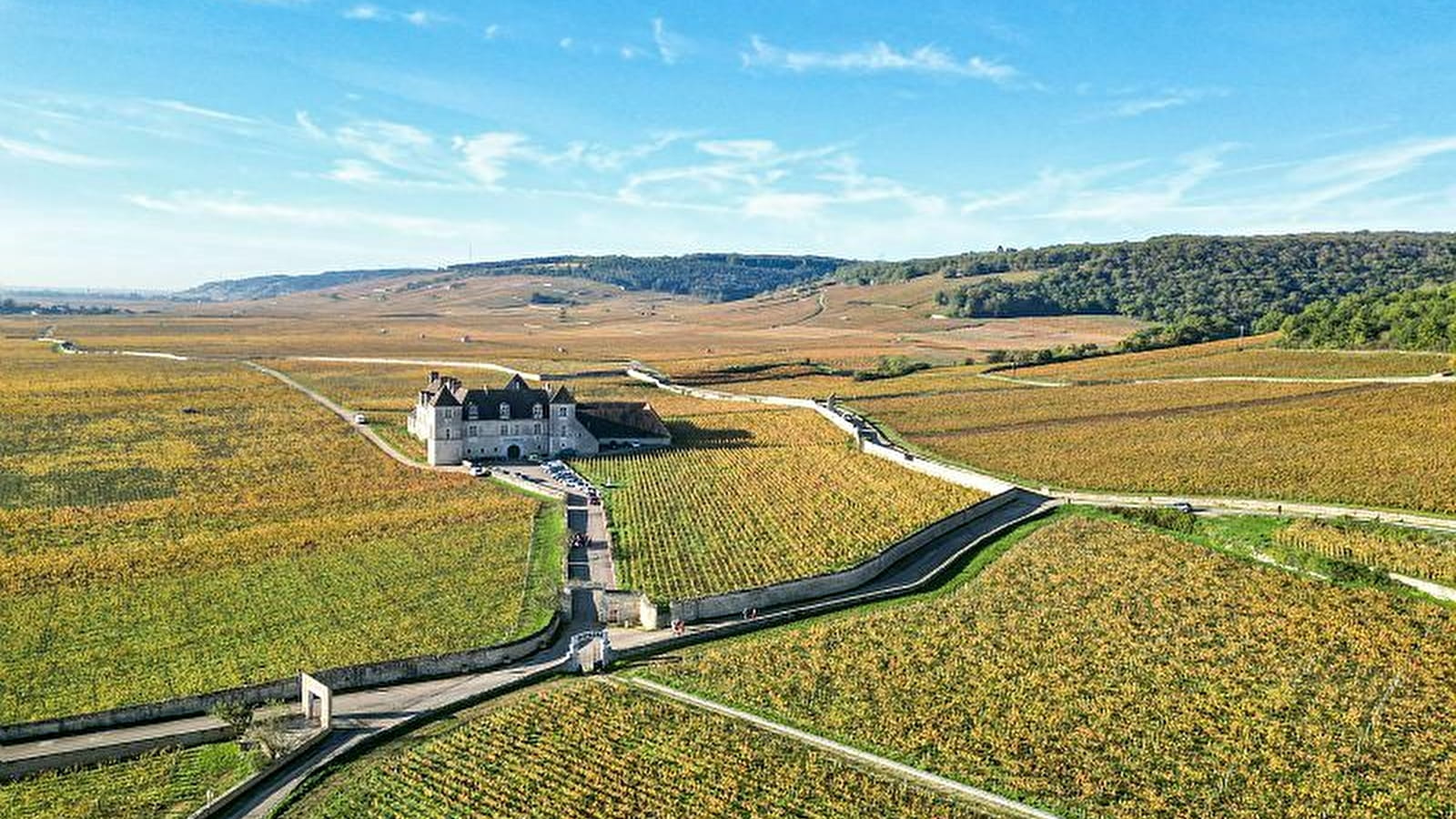 Découverte de la Côte de Nuits