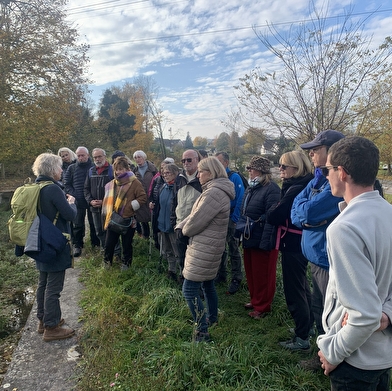 Balades naturalistes gratuites sur la nappe de Dijon Sud et de la Cent Fonts - Parcours 2 (Saulon-la-Chapelle ; Noiron-sous-Gevrey)