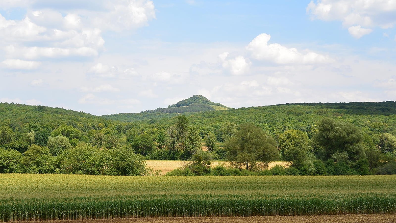 Sur les pas des 1er Comtes de Saulx