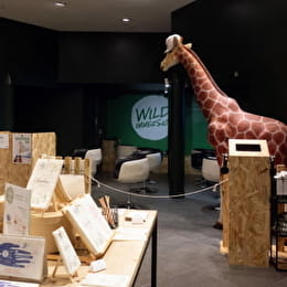 Wild Immersion Dijon - DIJON