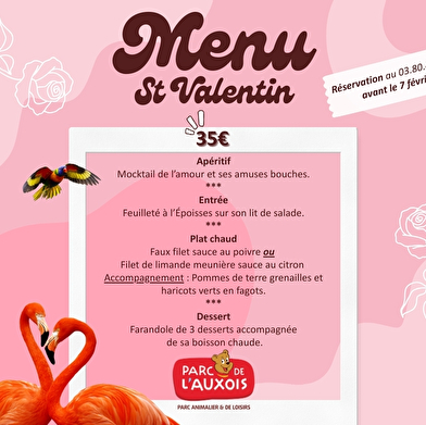 Saint Valentin des animaux et des amoureux des animaux