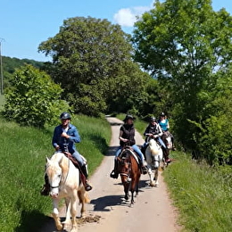 Balade à cheval par Mountain Farm - MOREY-SAINT-DENIS